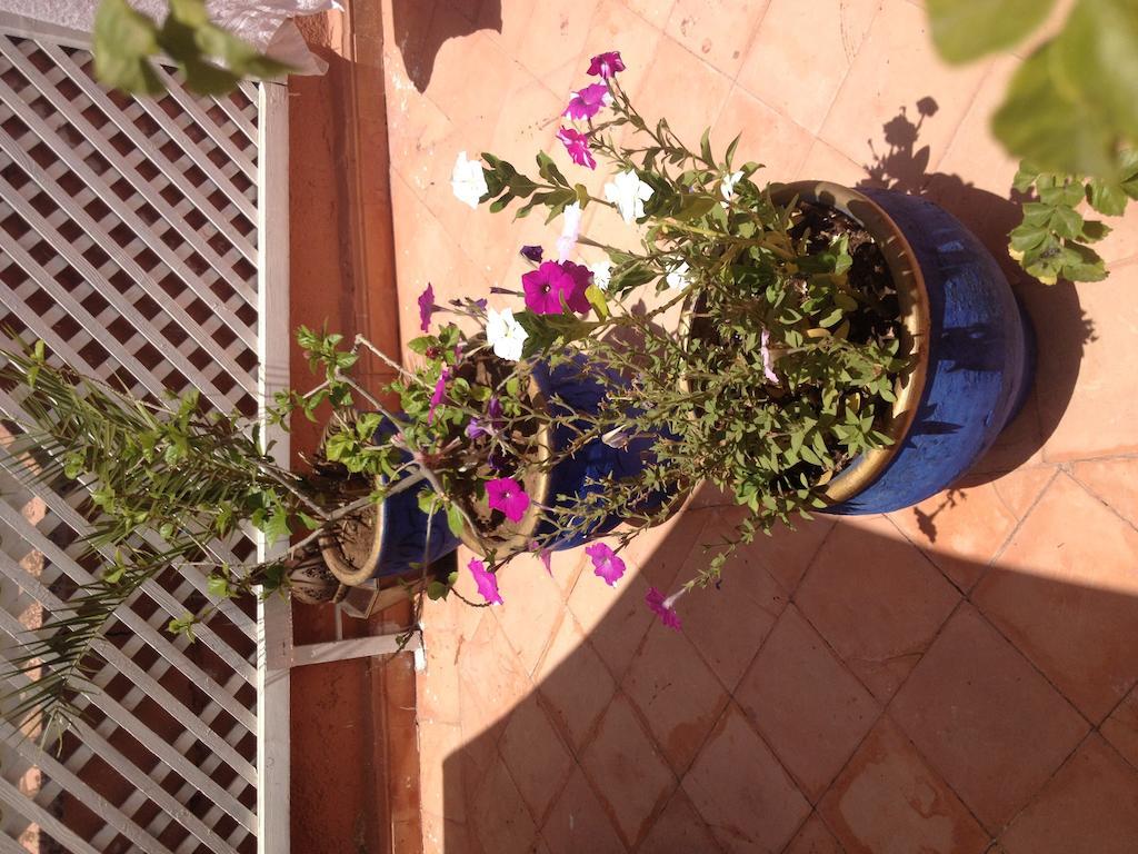 Riad Dar Saba Маракеш Стая снимка